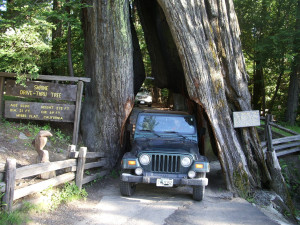 Places to Visit and Things to Do in Scotia